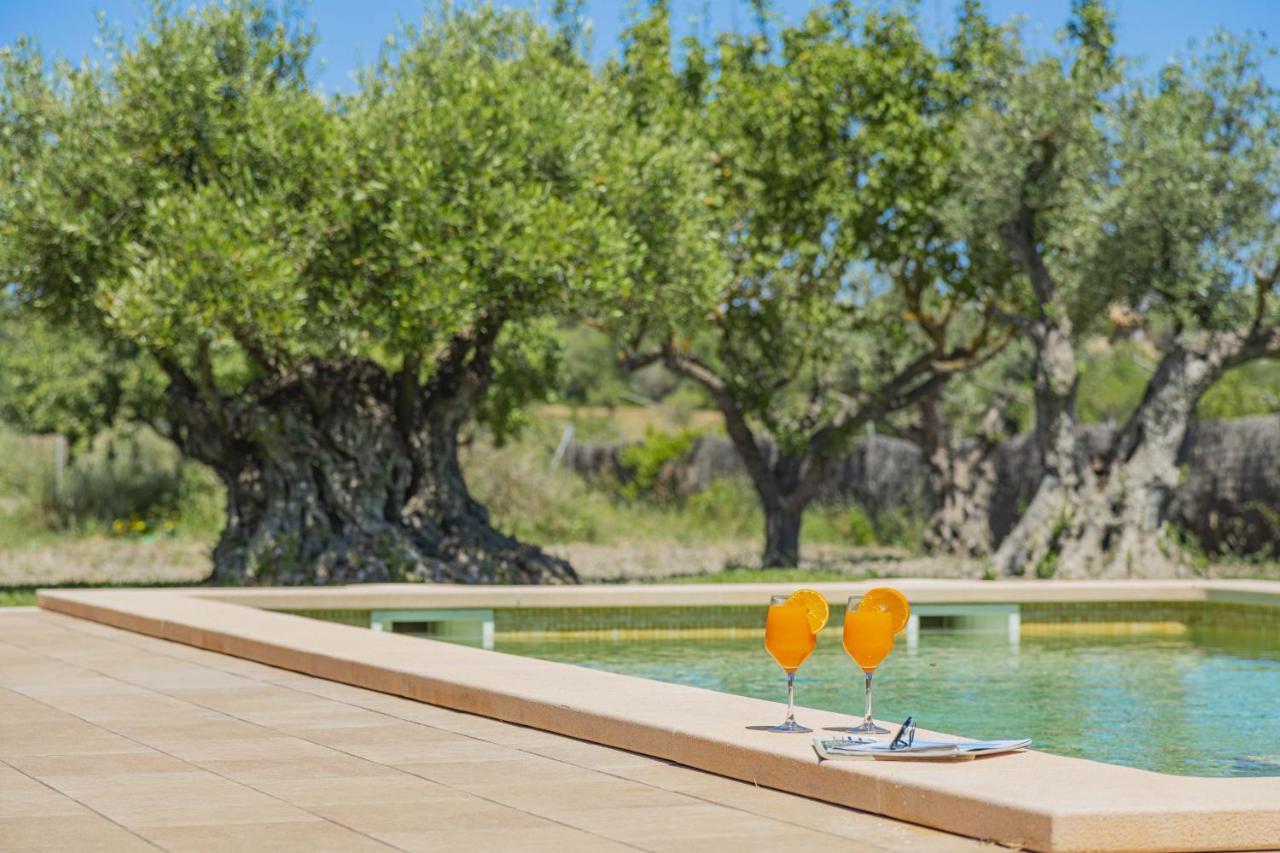 Villa Can Segue Alcudia  Eksteriør billede