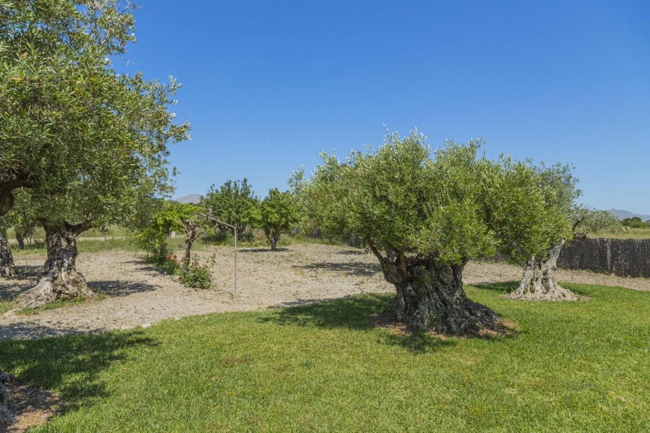 Villa Can Segue Alcudia  Eksteriør billede