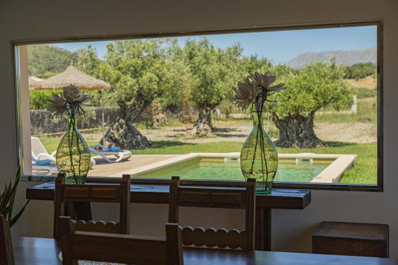 Villa Can Segue Alcudia  Eksteriør billede