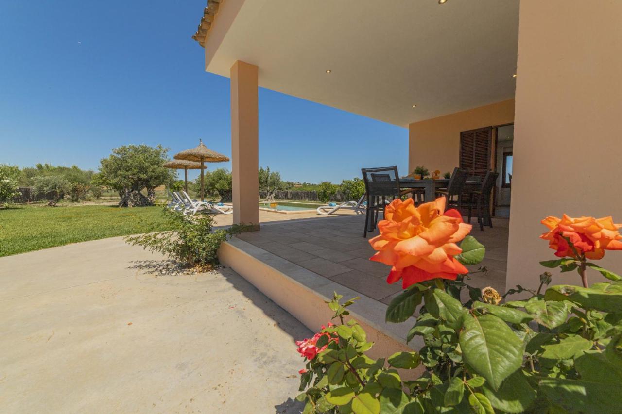 Villa Can Segue Alcudia  Eksteriør billede